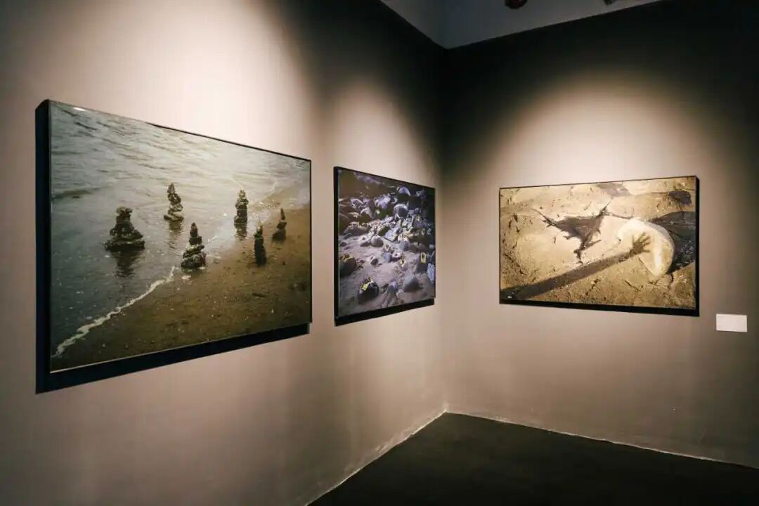扶青计划|“云游”群展,在《出神之境》,感知自我与世界的交汇