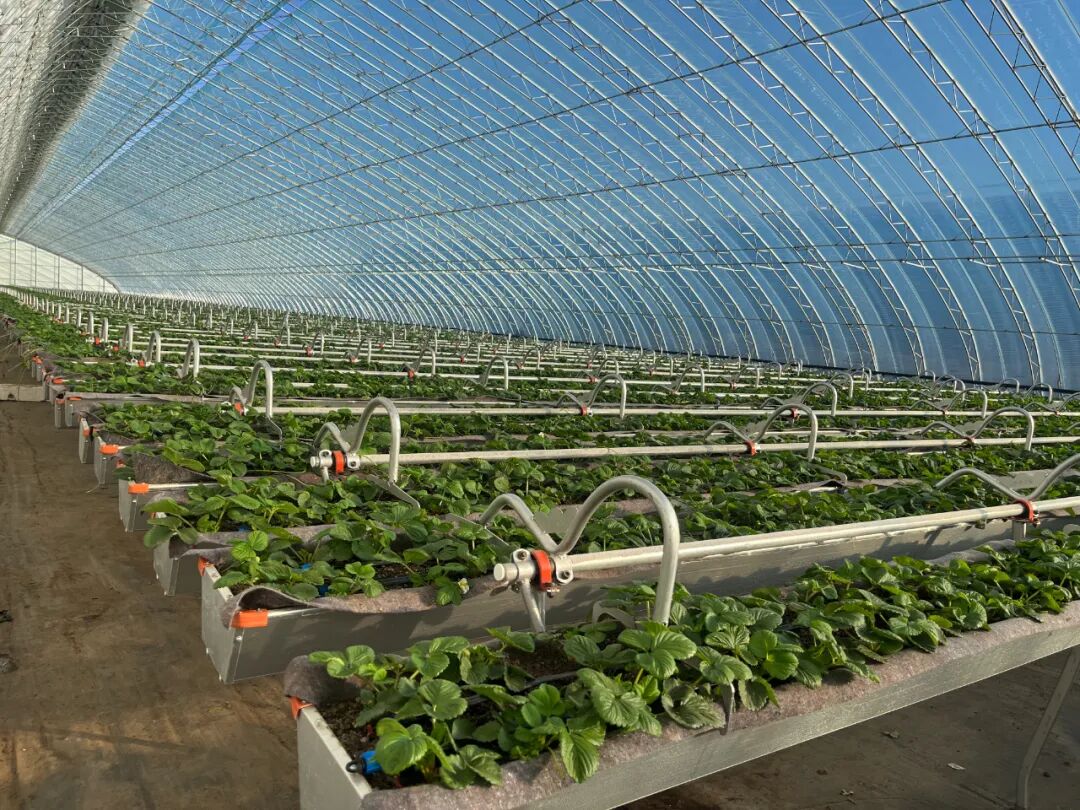 绿险赋能 泉城实践——济南保险业：以金融之翼托举实体经济绿色转型之路