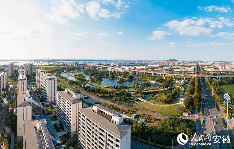 芜湖这个公园，有“颜”更有“料”！