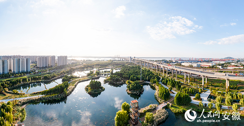 芜湖这个公园，有“颜”更有“料”！