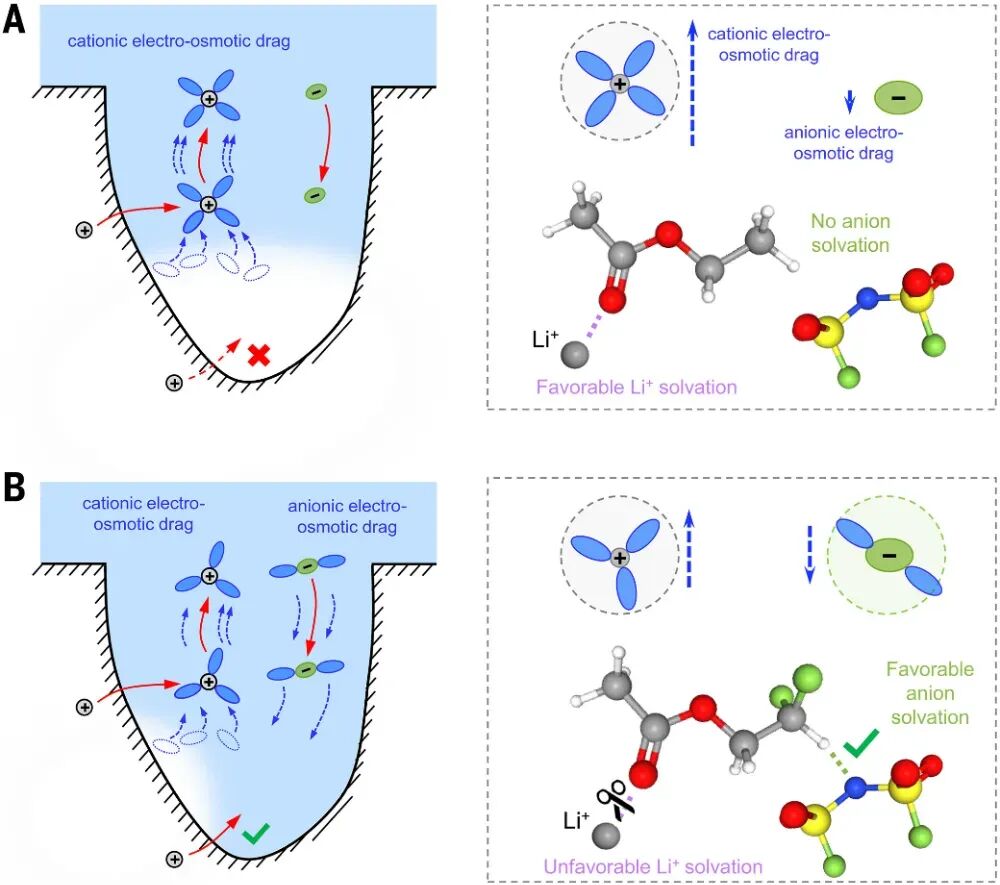 复材资讯】王春生教授，最新Science！
