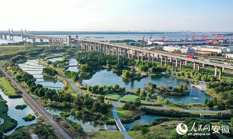 芜湖这个公园，有“颜”更有“料”！