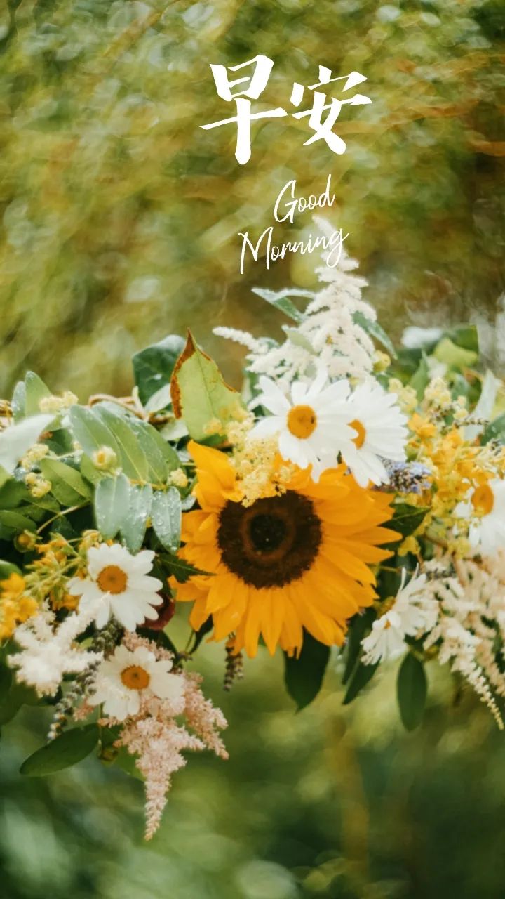 早安铜城（2025年11月21日）