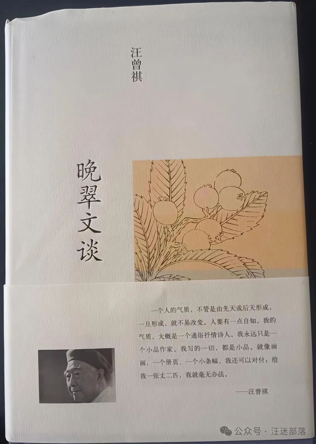 陆忠场 | 汪曾祺的三本文论集