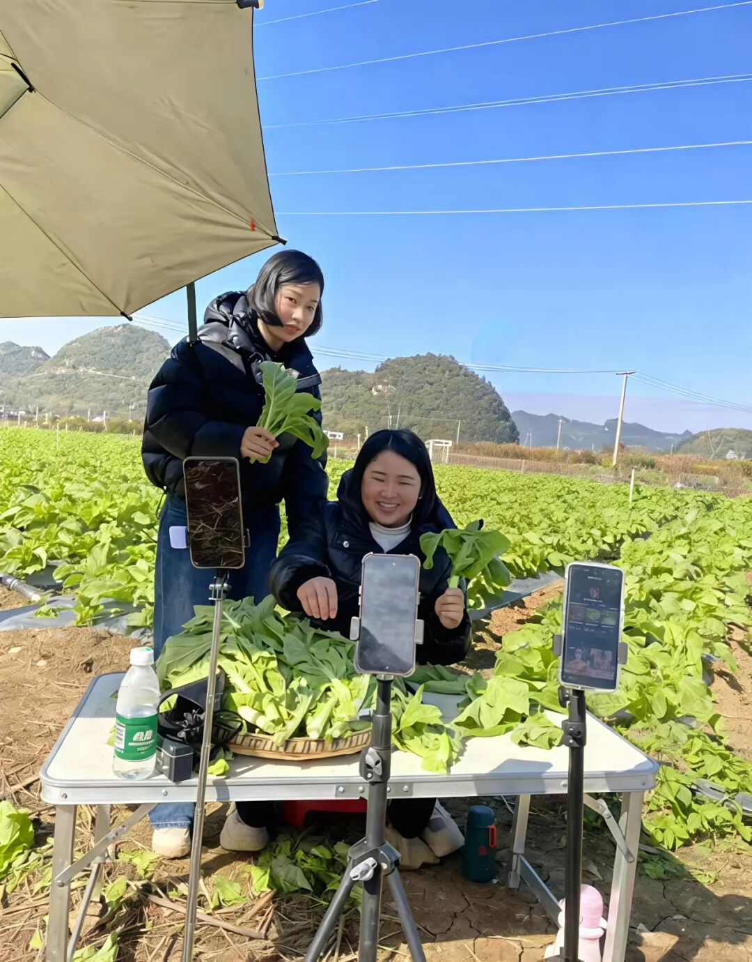 德州市陵城区糜镇张习桥村：田间直播带货忙新农人张良国深耕绿色致富产业链