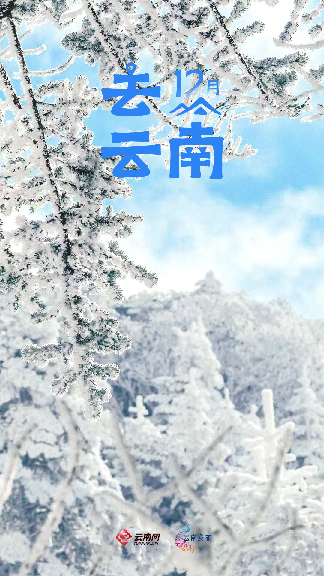 12月,去云南_澎湃号·政务_澎湃新闻-The Paper