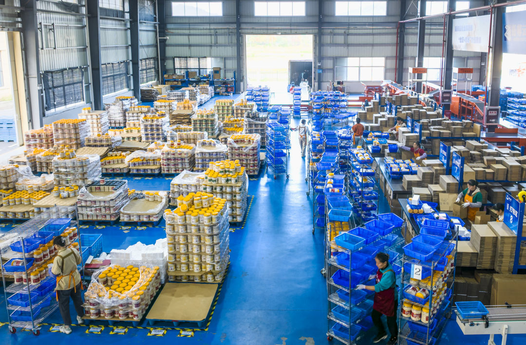 11月11日,在安徽省芜湖市繁昌区峨山镇一物流产业园内,物流企业工作人员