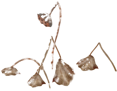 重磅新书| 白川静《中国古代文化》：中国是东亚文化圈的原点