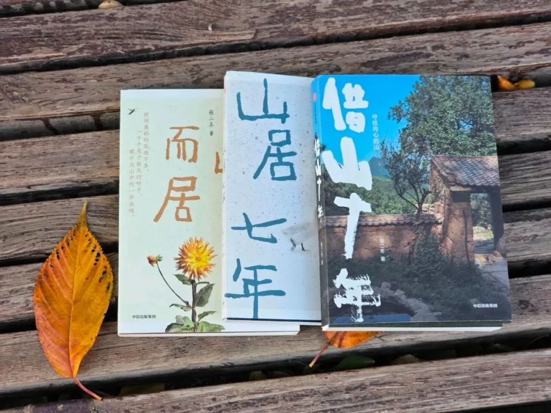 隐居终南山11年，他做了很多人想做却不敢做的事