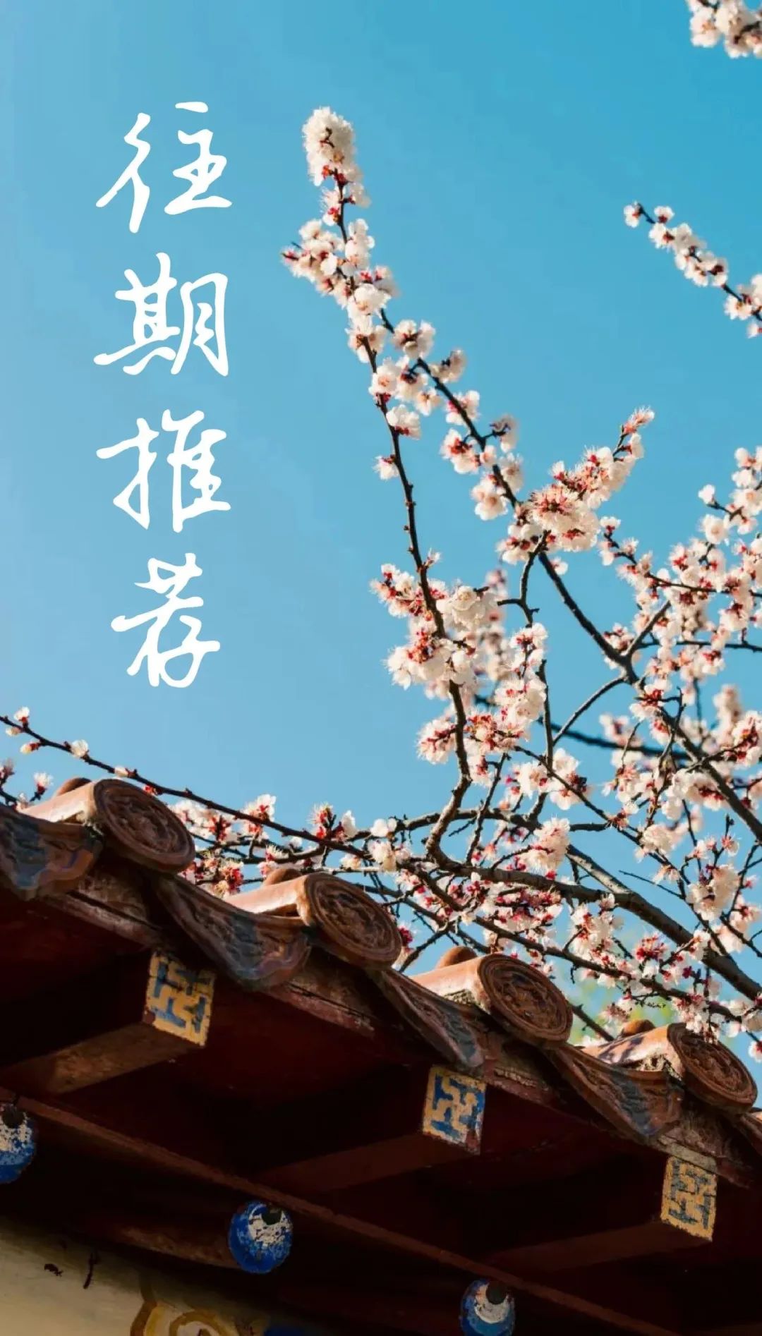 打造一块会呼吸、可产能的墙体