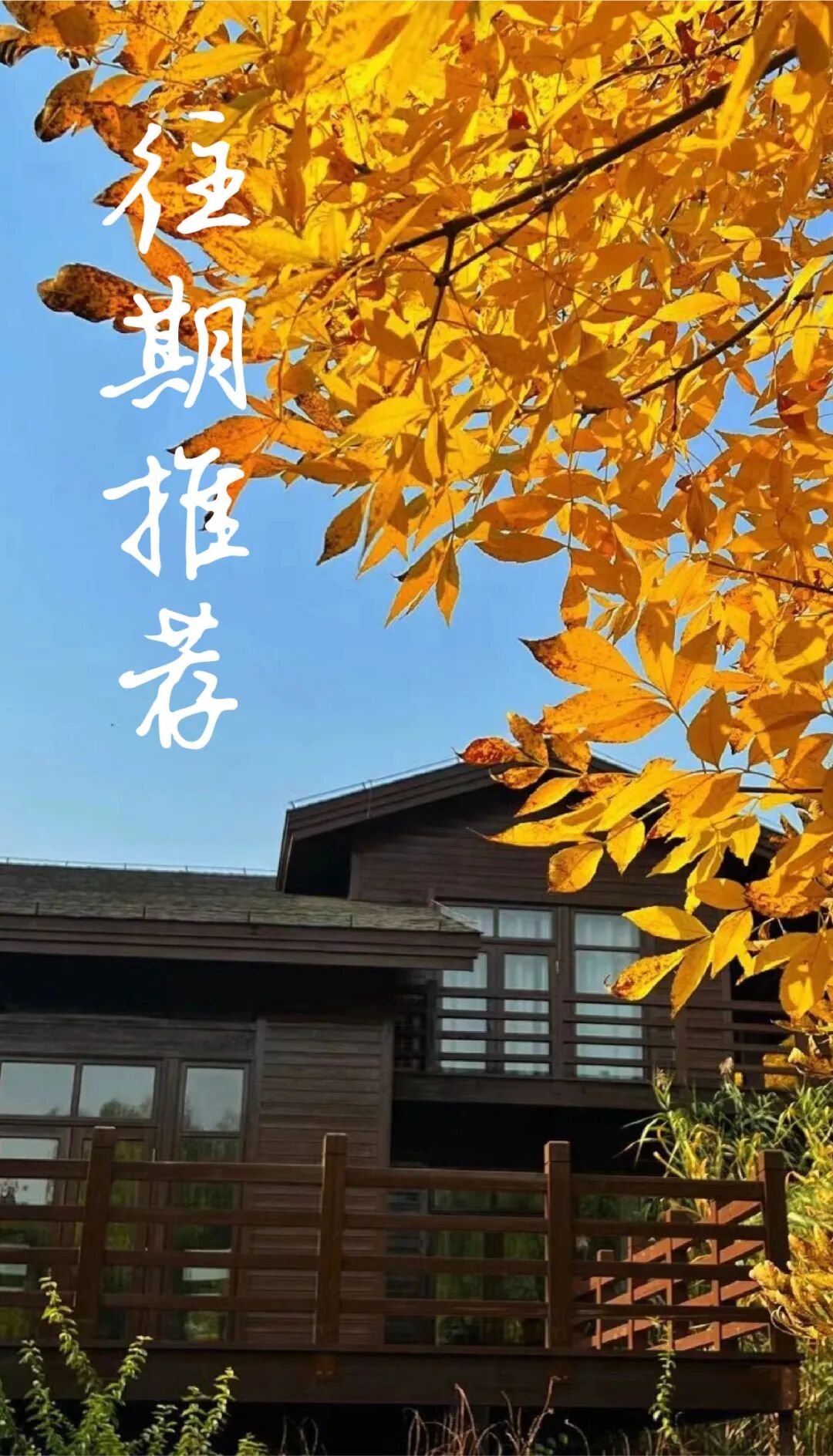打造一块会呼吸、可产能的墙体