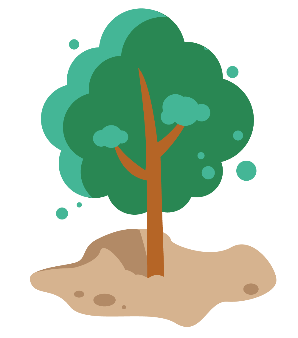 一棵枣树里的"乡土法意":开江法院如何让司法扎根乡土?