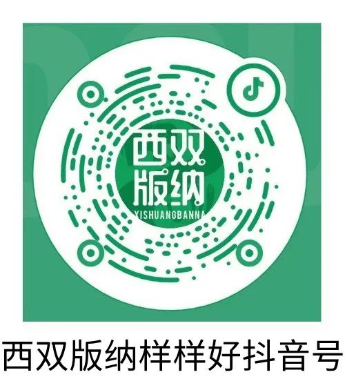 西新发布｜五年奋斗 勐海发展成色十足