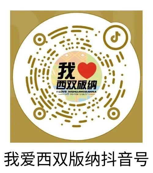 西新发布｜五年奋斗 勐海发展成色十足
