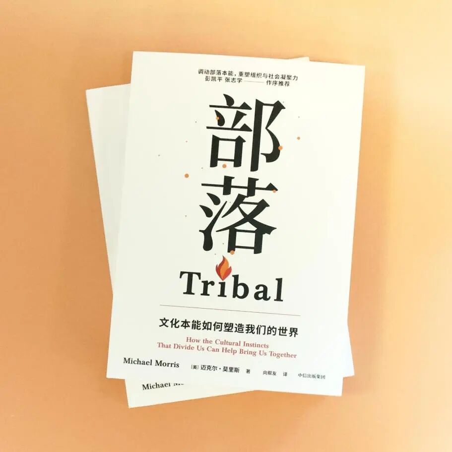 迈克尔·莫里斯×仲树：在撕裂对立的时代，如何找回人类的共同语言？_澎湃号·湃客_澎湃新闻-The Paper