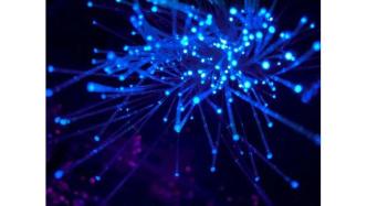 我看2025 | 管清友：我们正处在AI革命萌发期