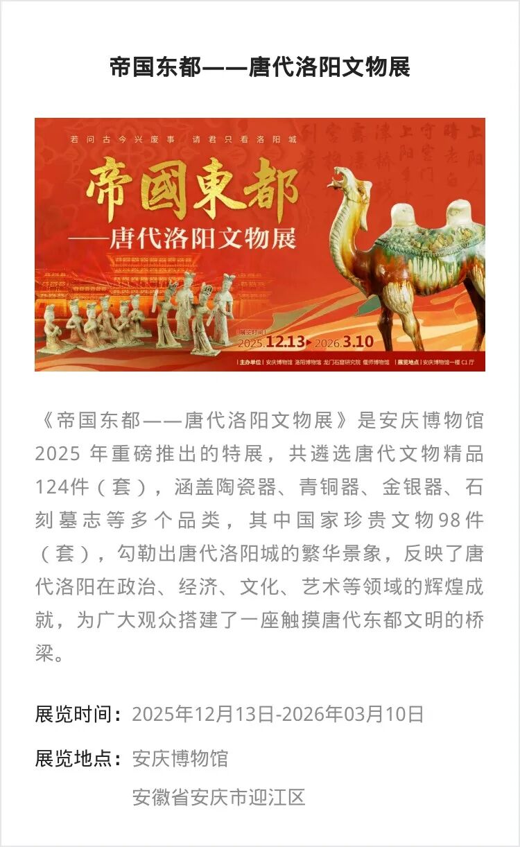 全国其他】十二月份有什么好看的展览？（第3期）