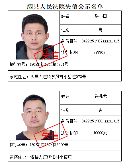 泗县人民法院2025年第2期失信被执行人公示名单