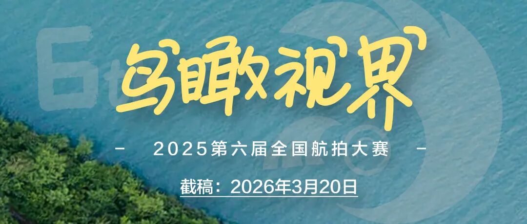 揭晓 | 2025年黑白摄影大赛(街头组)获奖作品公布(下)