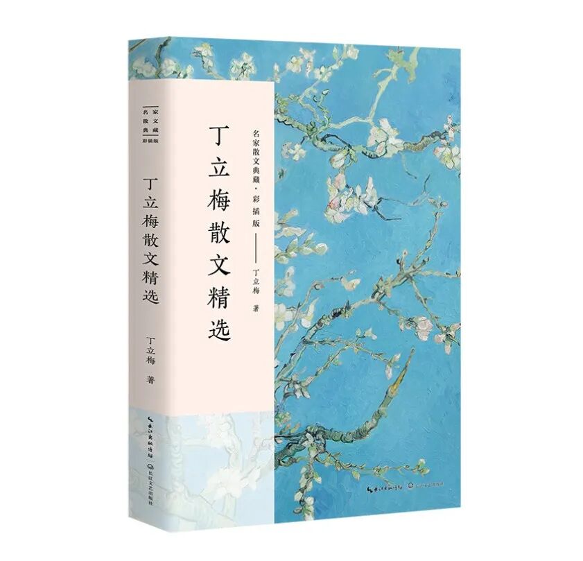 丁立梅:我别无选择,除了选择快乐_澎湃号·湃客_澎湃新闻-The Paper