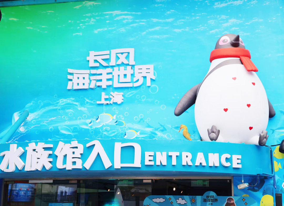 企鵝 小時候 的 樣子 (99) 사진