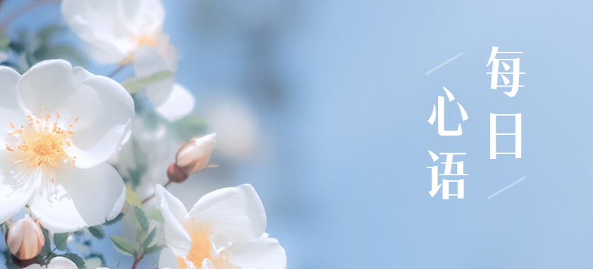 江苏省2026年上半年中小学教师资格考试报名_无锡考试网_江苏省2026年上半年全国英语等级考试报名