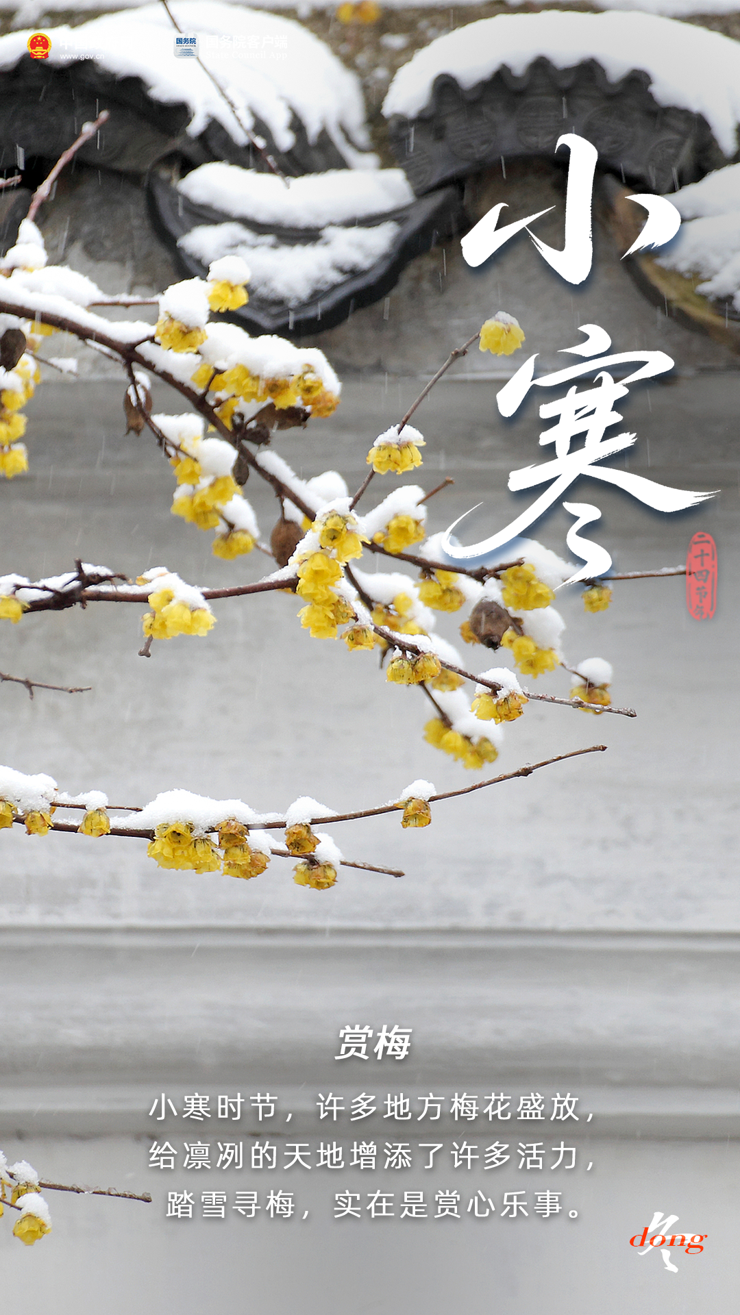 一年中最冷的时候要来了