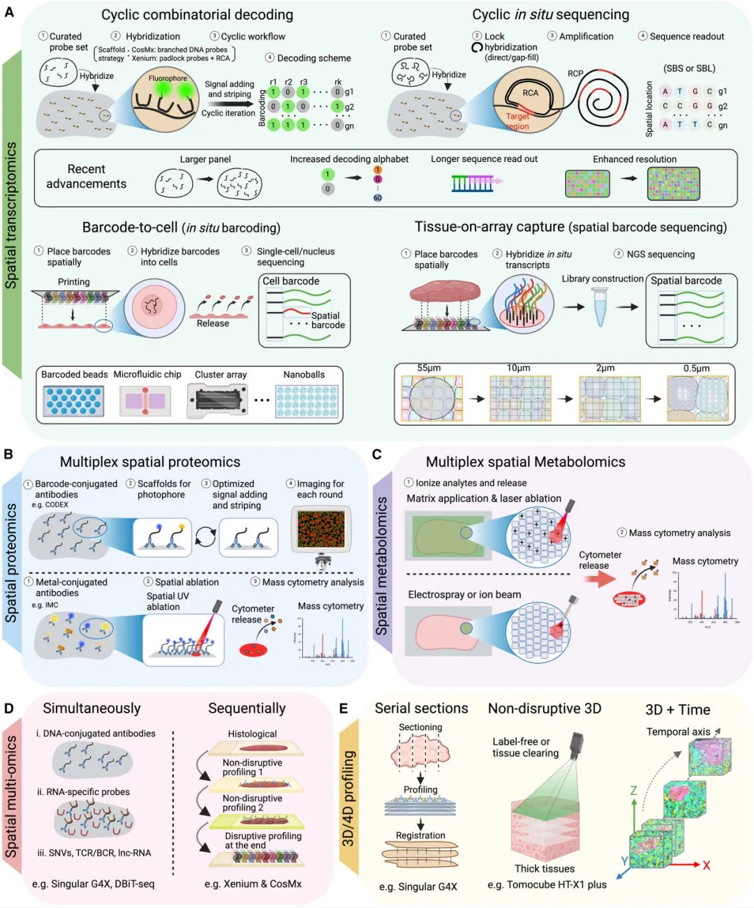 绘制生命空间地图，下一代精准肿瘤学的基石已来