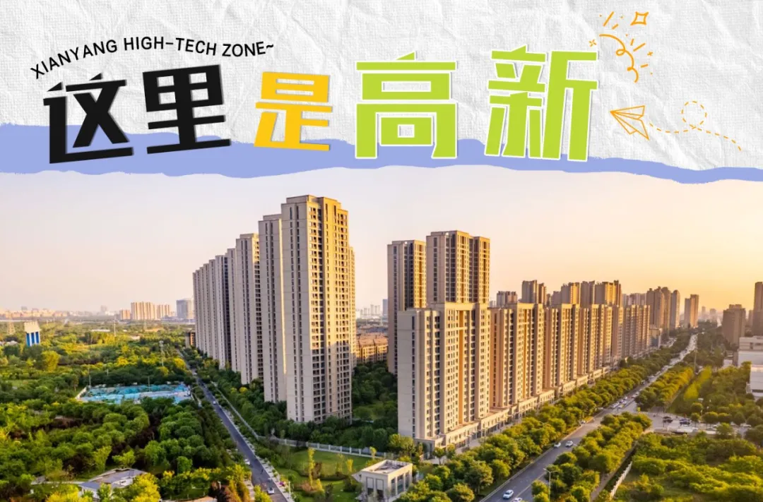 再添省级新名片！高新区凭新型显示抢占未来产业C位_澎湃号·政务_澎湃新闻-The Paper