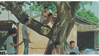 不會(huì)再有第二個(gè)侯孝賢，也不會(huì)再有第二個(gè)朱天文｜專訪朱天文