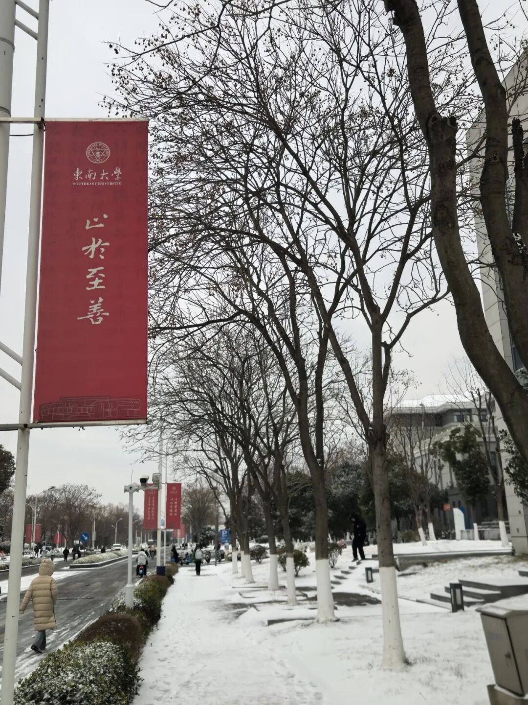 这，是今天的东大！_澎湃号·政务_澎湃新闻-The Paper