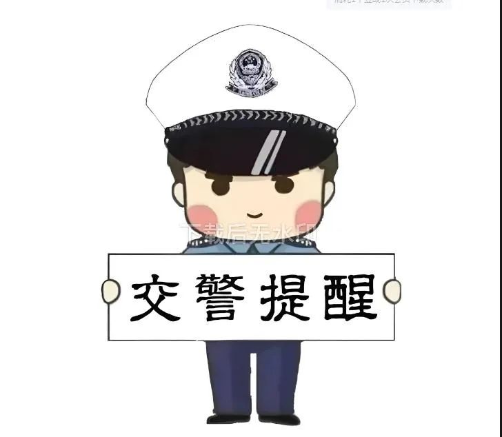 【安全课堂】宠物再乖，驾车时也别冒险让它“陪驾”