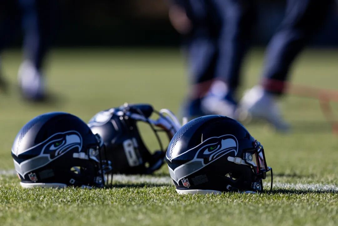 NFL分区决赛：替补四分卫大战MVP候选人，最强进攻对上最强防守_澎湃号·湃客_澎湃新闻-The Paper
