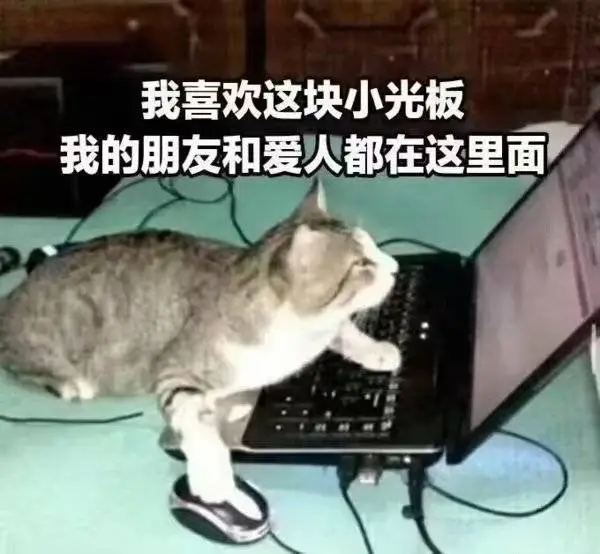 被“竞缘脑”支配的一生：为什么你总害怕被落下？