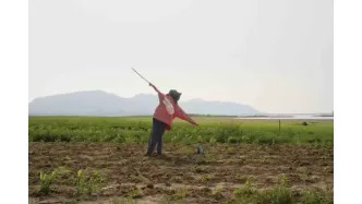 张西林：乡间的风——让影像记住乡愁