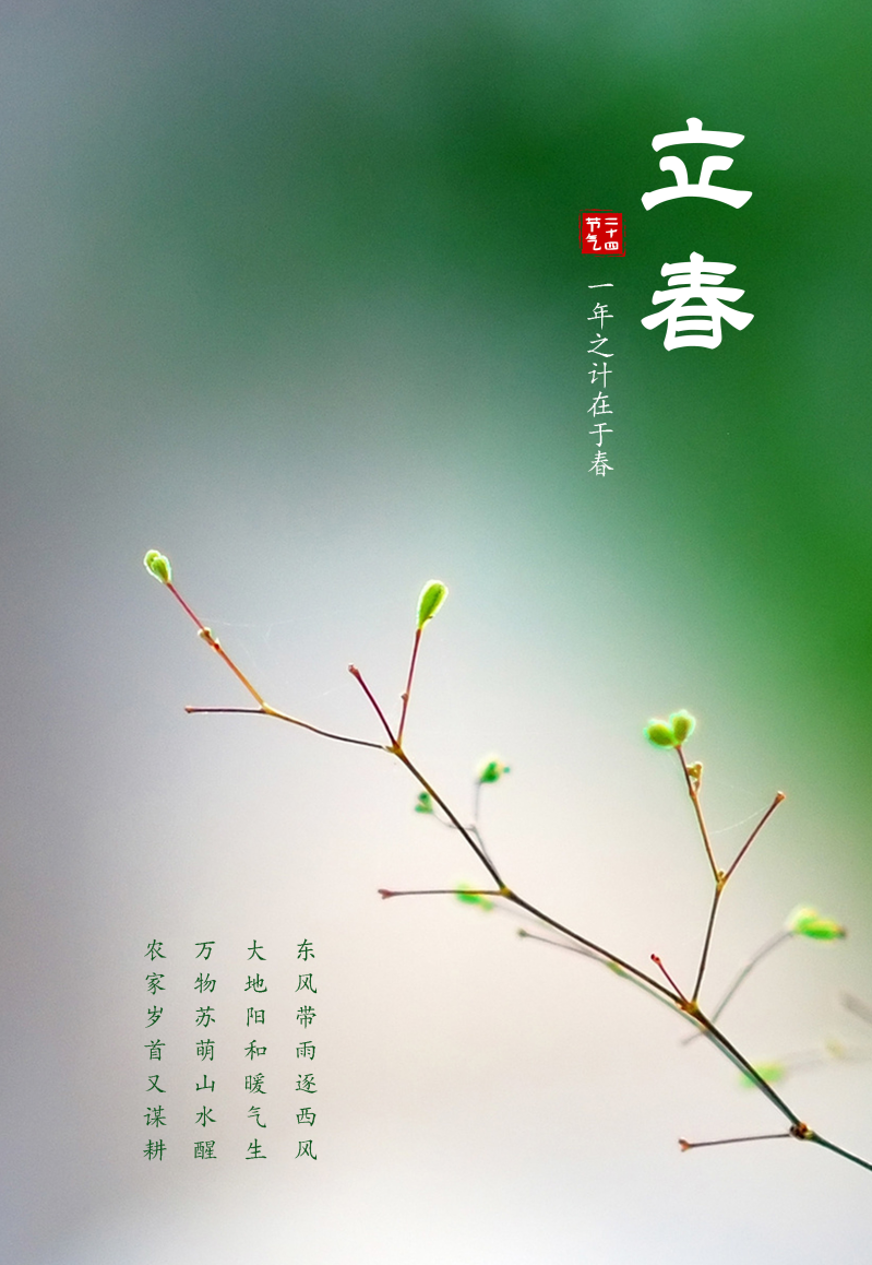 石小法“二十四节气” | 立春·春来万物生 四季启新章_澎湃号·政务_澎湃新闻-The Paper