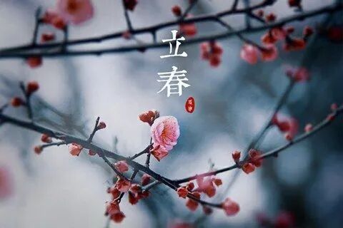 石小法“二十四节气” | 立春·春来万物生 四季启新章_澎湃号·政务_澎湃新闻-The Paper