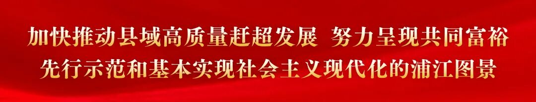 同比增长5.8% 2025年浦江经济运行情况公布