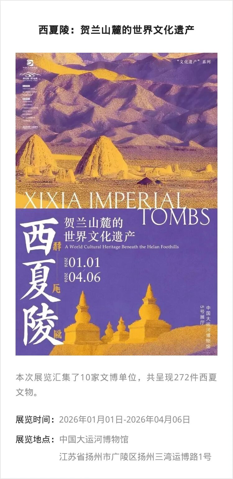 【江浙沪】春节期间有什么好看的展览?_澎湃号·湃客_澎湃新闻-The Paper