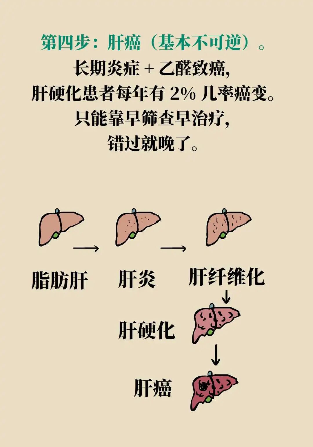 戒酒不是扫兴,是续命——年前为肝备好“回血指南”_澎湃号·湃客_澎湃新闻-The Paper
