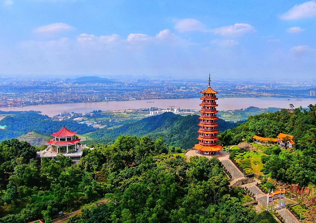 请到鹤山过大年 | 旺旺旺！大年初一，鹤山人气拉满！
