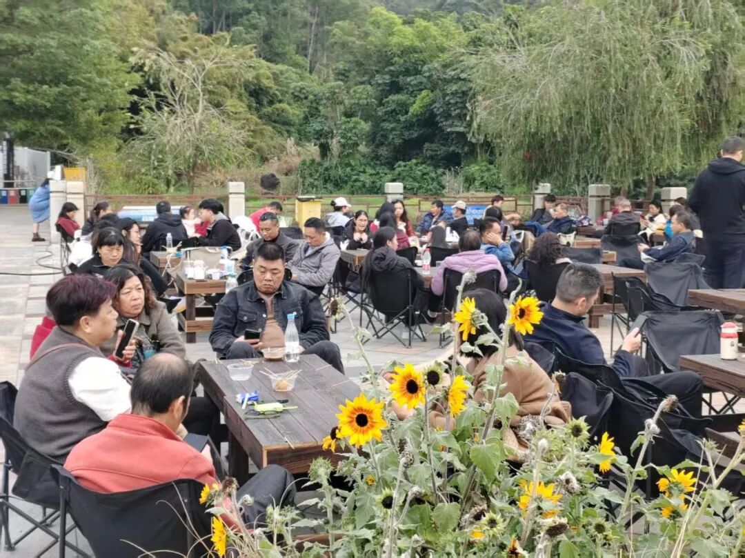 请到鹤山过大年 | 旺旺旺！大年初一，鹤山人气拉满！