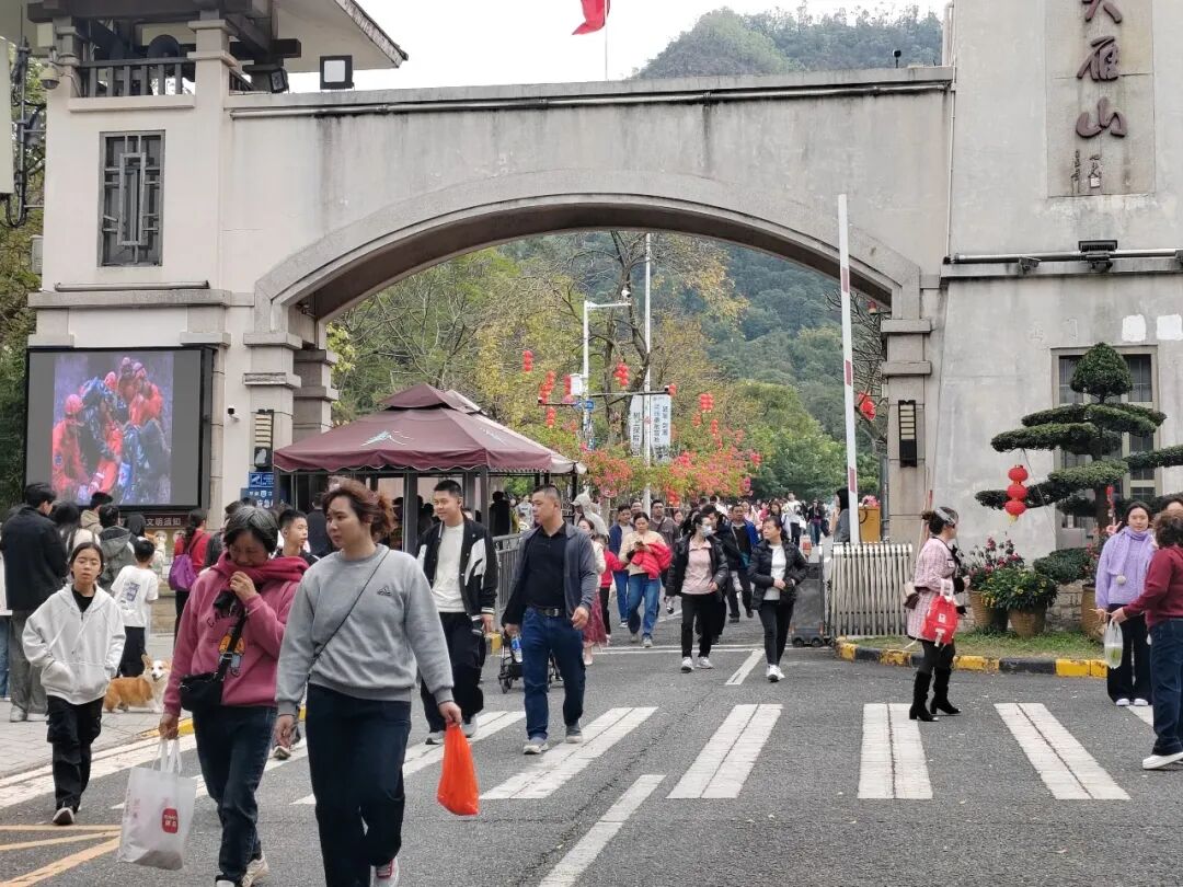 请到鹤山过大年 | 旺旺旺！大年初一，鹤山人气拉满！