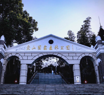 “域见上海”精品旅游攻略展示｜人文古迹+自然生态+非遗体验，跟着这条线路游松江→