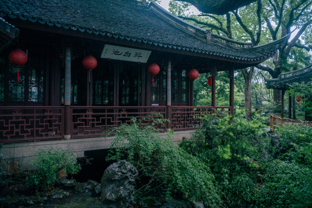 “域见上海”精品旅游攻略展示｜人文古迹+自然生态+非遗体验，跟着这条线路游松江→