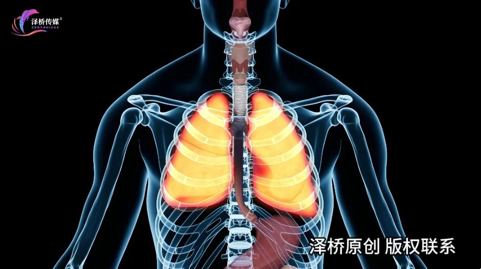 为什么憋气、戴口罩，还是躲不开二手烟？