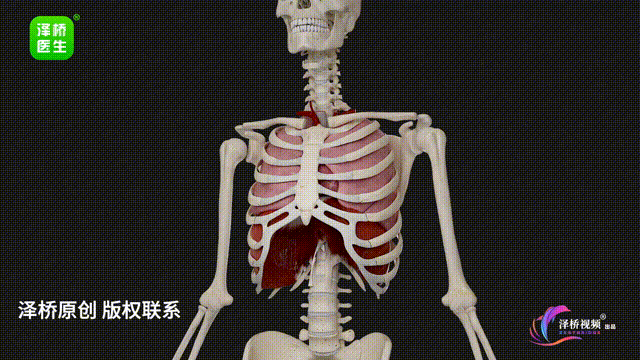 为什么憋气、戴口罩，还是躲不开二手烟？
