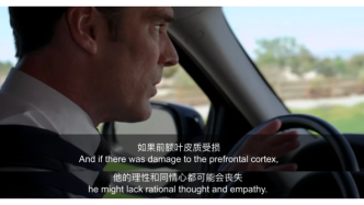 “前额叶友好型”人格，成了年轻人择偶新标准？