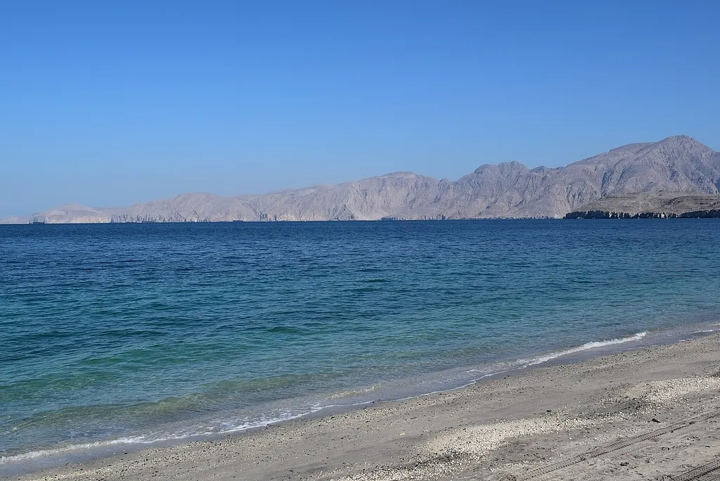 国际海事组织：霍尔木兹海峡船只遭袭造成海员4死3重伤，目前仍有约2万名海员被困海湾地区，安全风险不断加剧、精神压力巨大_澎湃号·媒体_澎湃新闻 ...