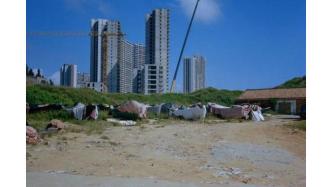 刘志刚：彩云追粤